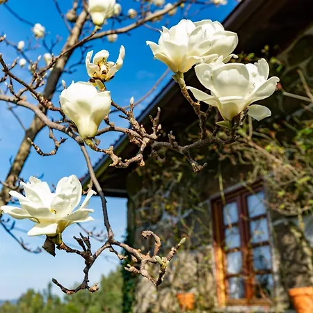 Casa Do Castelo Em Arnoia *