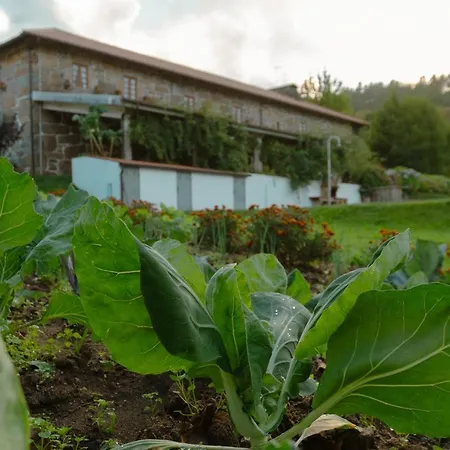 Villa Casa Do Castelo Em Arnoia *