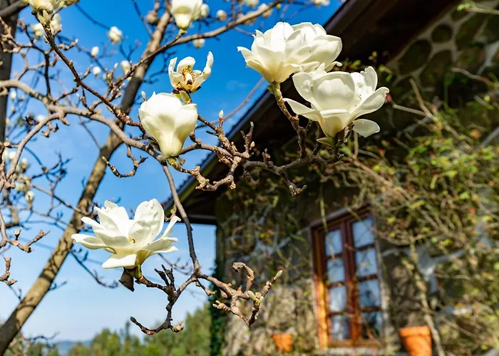 Casa Do Castelo Em Arnoia *