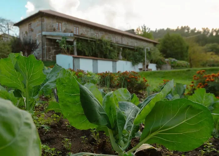 Villa Casa Do Castelo Em Arnoia *