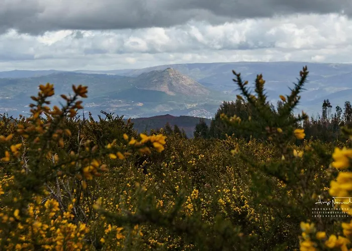 Villa Casa Do Castelo Em Arnoia